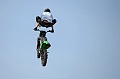 _ROB3688 (Copy)